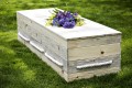 The NORTHWOODS Pine Casket