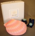 Shell Ocean Release Urn with carrying case.
